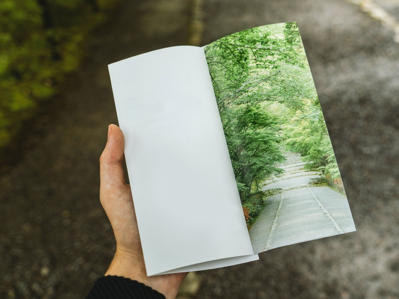 Broşür ve El İlanı